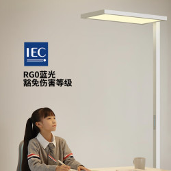 Haier 海尔 立式学习护眼落地大路灯 标准版 星蕴白