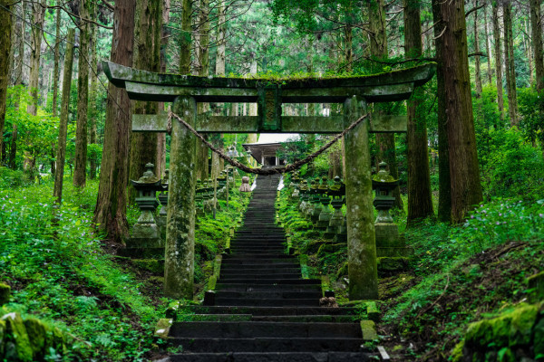 才不是日本乡下,一个日漫扎堆取景的地方!日本九州宫崎高千穗峡/上色见熊野座神社纯玩一日游