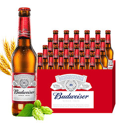 Budweiser 百威 瓶装啤酒 美式拉格 330ml*24瓶