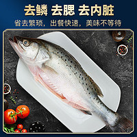 SuXian 速鲜 简鲜 开肚海鲈鱼200-250g*6条