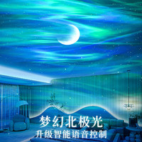 万火北极光星空投影灯氛围灯卧室小夜灯女朋友女孩星光投影仪 【升级语音】控制款+基础功能