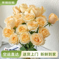 云南鲜花批发品质玫瑰百合水养鲜切花 香槟(蜜桃雪山)-10支
