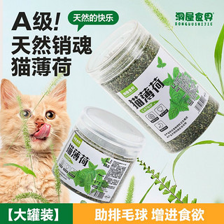 洞屋食界 磨牙清新即食口腔食用猫薄荷可食用猫薄荷粉猫薄荷高纯度特浓