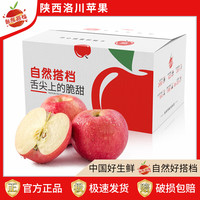 自然搭档 洛川苹果陕西延安红富士糖心苹果新鲜水果礼盒时令生鲜脆甜 净重8.5斤大果（单果85-90mm） 8.5斤装（净重8.5斤 单果260g+）