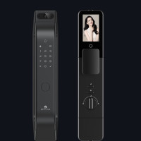 DESMAN 德施曼 大圣 Q5MPro 智能门锁 标准版