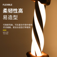 雷迪航 三色变光硅胶线形灯带 24V 三色智能变光 LED灯条