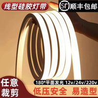 雷迪航 硅胶线型灯带 12v/24v/220v 颜色分类：白
