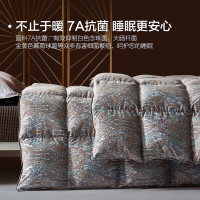 BLISS 百丽丝 鹅绒冬被 抗菌保暖锁绒 220cm×240cm