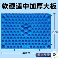 英瑞特 升级版慢跑指压板超慢跑足底按摩脚垫室内原地跑步垫趾压板通经络