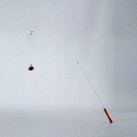 PawsHolic爪迷仿真昆虫可伸缩长杆猫玩具木天蓼自嗨解闷逗猫棒 小瓢虫逗猫棒