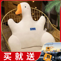 办公室腰垫腰靠毛绒玩具 60*40cm