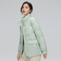 SNOWFLYING雪中飞2024秋冬女士羽绒服短款立领小个子显高多色舒适温柔暖 175/96A