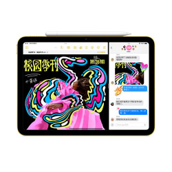 Apple 苹果 iPad 10 10.9英寸平板电脑 256GB WLAN版