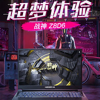 百亿补贴：Hasee 神舟 战神G8 17.3英寸游戏笔记本电脑（I7-13620H、16GB、1TB、RTX4060）