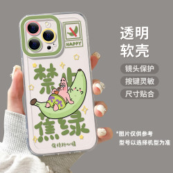 斐佧思 适用iPhone苹果16promax 拒绝焦绿 透明手机壳