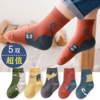 拥抱熊 儿童中筒袜子 5双