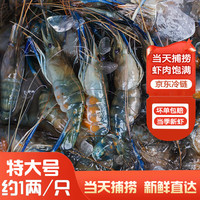 百鲜洽【鲜活】罗氏虾沼虾活冻新鲜大头虾超大虾巨型中秋节海鲜水产虾类