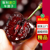 果聚匠心智利车厘子/樱桃新鲜当应季水果礼盒可选原箱装 原箱10斤-净重9斤(20颗内不售后) J级