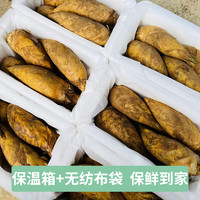 冬笋新鲜2024新鲜现挖天目山冬笋春笋黄泥冬笋雷笋楠山竹笋毛竹笋