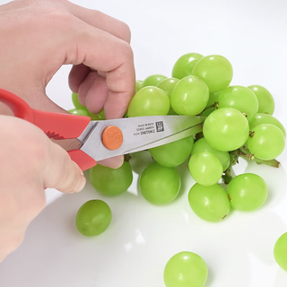 ZWILLING 双立人 NOW S系列 厨用剪刀 1把 石榴红