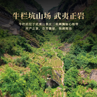 岩语乌龙茶 鉴山武夷岩茶 牛栏坑肉桂51g礼盒装 正岩茶叶 正山堂 【正岩高货】牛栏坑肉桂51g