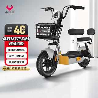 小羚羊 小魔方 TDT1012Z 电动车 48V12AH 铅酸电池