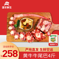 滩羊鲜生宁夏黄牛肉 生鲜新鲜散养牛腿肉原切牛排牛前后腿肉清真源头直发 4斤牛尾巴