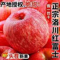 云鲜风 陕西洛川红富士苹果 净重4.5斤单果230g＋新鲜水果 源头直发