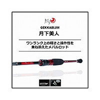 DAIWA 达亿瓦 月下美人 83M-T･N旋转2根石斑鱼竿