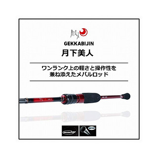 DAIWA 达亿瓦 月下美人 83M-T･N旋转2根石斑鱼竿