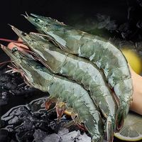 海洋流浪汉国产青岛大虾白虾青虾基围虾鲜虾冷冻生鲜虾类鲜活特大海捕整箱装 大虾 1.6kg(净重)  4斤