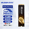 GUDGA 固德佳 GXF PRO系列 NVMe M.2 固态硬盘 1TB（PCI-E 4.0）