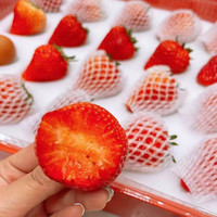 卡布诺 丹东99草莓 500g 20g以下