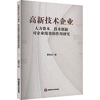 高新技术企业人力资本、技术创新对企业绩效的作用研究 瞿晓龙 著 人力资源经管、励志