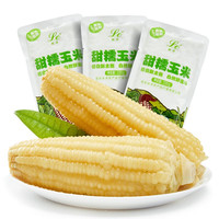 联承白糯玉米棒1根装单根220g起糯粘甜黏粒真空包装 新鲜蔬菜非转基因