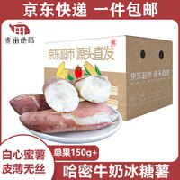 壹亩地瓜山东哈密冰糖薯净重5斤单果150g起 新鲜蔬菜 源头直发