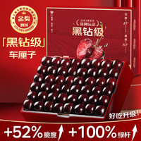 沐小七果蔬 智利车厘子次日达 大樱桃年货节过年新鲜水果礼盒 大果 J单果6-8g 4J级5J级【果级越大越脆甜】