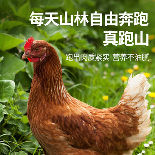 大用三黄鸡800g*3 冷冻新鲜鸡肉散养鸡走地鸡煲汤食材 清真食品