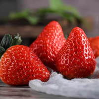 果真秀丹东 红颜99大草莓牛奶草莓 新鲜水果 牛奶草莓 精选3斤(单果20g+)
