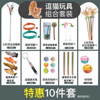 猫玩具逗猫棒套装自嗨逗猫激光笔猫项圈薄荷鱼不倒翁老鼠猫咪玩具(速发) 10件套 10件套(速发)