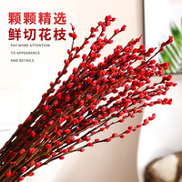 沭之美干枝雪柳银柳龙柳鲜枝水养插花水培植物室内花卉好养绿植遇水开花 银柳60cm高20枝+卡片 不含盆