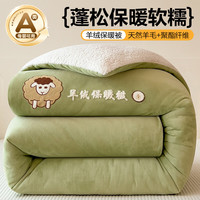 北极绒被子冬季加绒加厚保暖被芯冬被羊毛被宿舍棉被四季单双人被褥 豆绿【加绒加厚 抗寒保暖】 200*230cm8斤-双人冬被 菠萝格-虎宝宝
