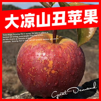 颜小荭 丑苹果 四川大凉山盐源冰糖心苹果当季野生苹果新鲜水果现摘现发 4.5-5斤严选大果（80mm以上）