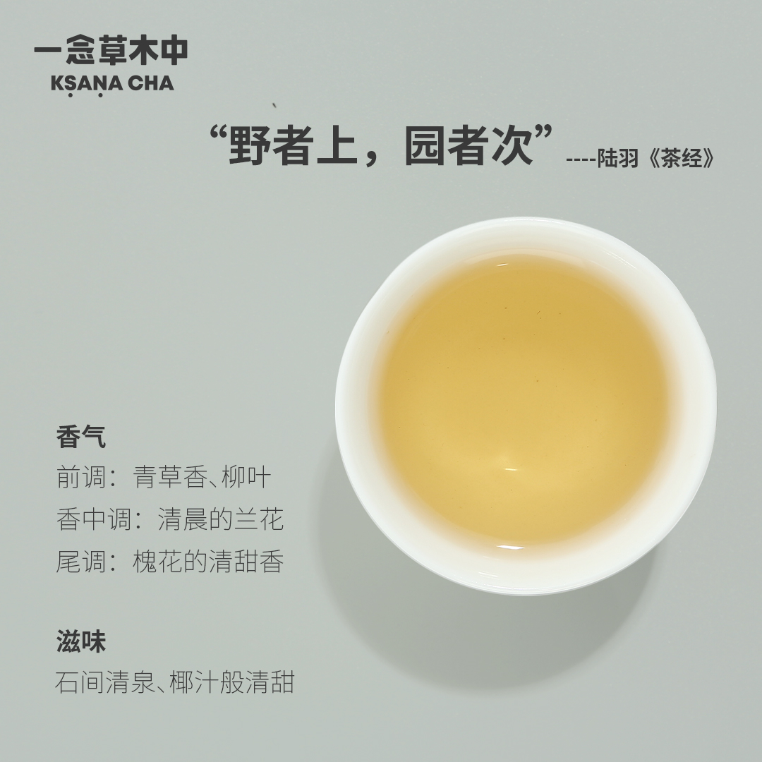 一念草木中云崖谪仙·2021年牡丹王白茶50g茶叶盒装办公室