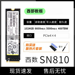 西部数据（WD）WD西数SN730 SN550 SN570 SN810 512G1TB2TBNVMEm.2 拆机固态硬盘 西数SN730 256GB