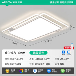 箭牌 照明 北欧风大客厅灯铁艺吸顶灯卧室餐厅灯具JP1DD0115001