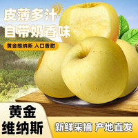 南有竹山东维纳斯黄金苹果 净重5斤装 单果180g+ 生鲜水果 源头直发 精选维纳斯黄金苹果 5斤装4.5-5斤净重单果8-12枚
