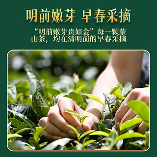 雅泉云台碧绿茶叶 毛尖 特级明前新茶礼盒152g 蒙顶高山春茶嫩芽品