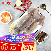 富海锦 冷冻大鱿鱼 800g