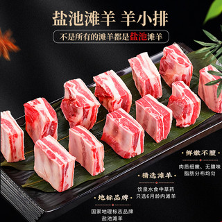 羊鼎福盐池滩羊 羊小排500g/袋 地标品牌宁夏滩羊肉生鲜 烧烤食材 盐池滩羊丨羊小排500g